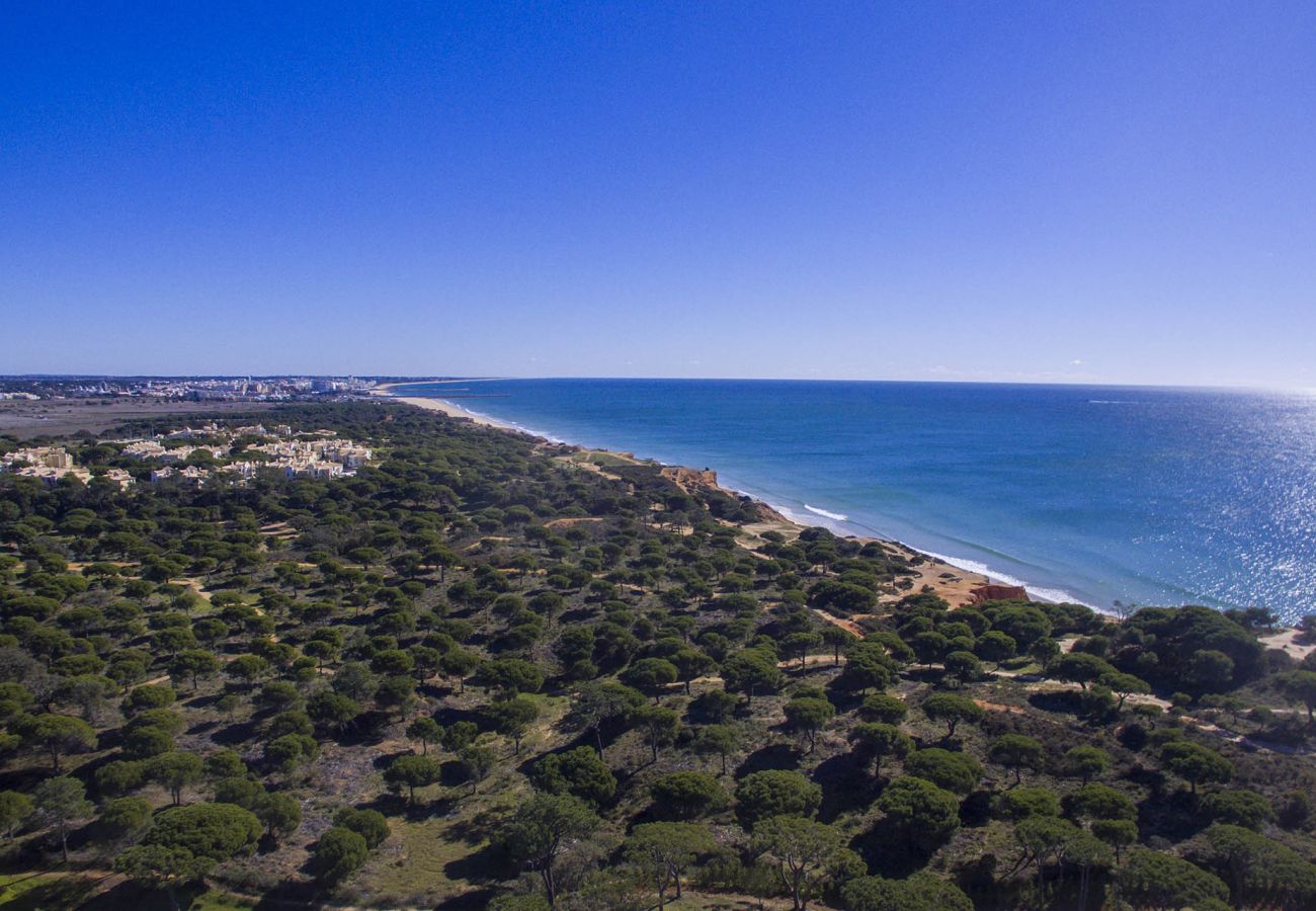 Villa em Albufeira - Villa Joy