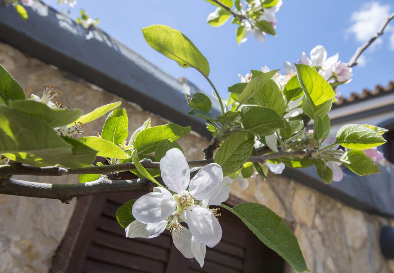 Villa em Vilamoura - Villa Arrochela