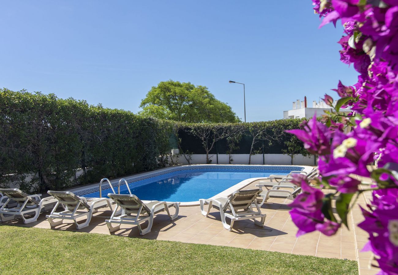 Villa em Albufeira - Villa Tulipa