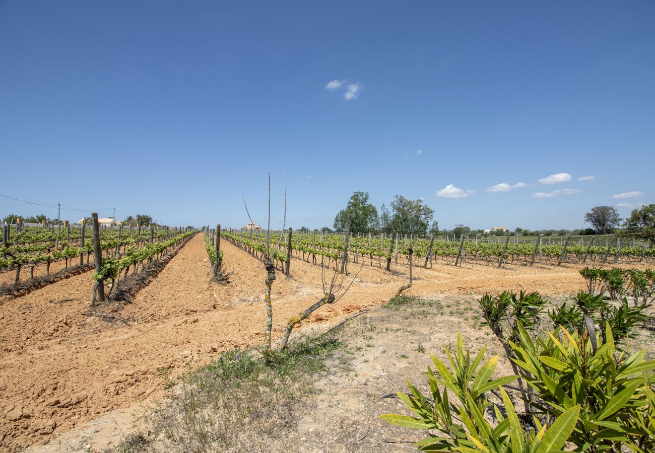 Villa em Albufeira - Quinta Dionysus