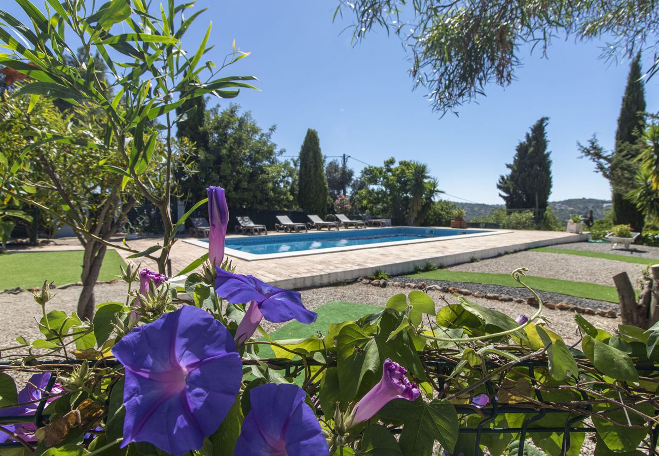 Villa in Loulé - Monte das Palmeiras