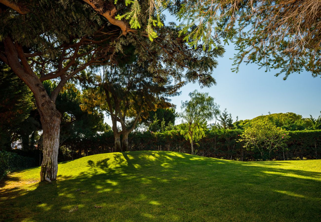 Villa in Albufeira - Villa Choo