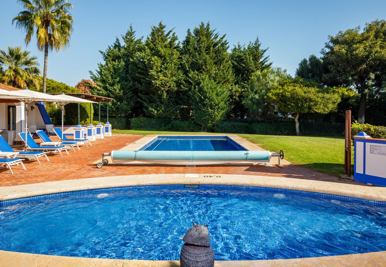 Villa in Albufeira - Villa Choo